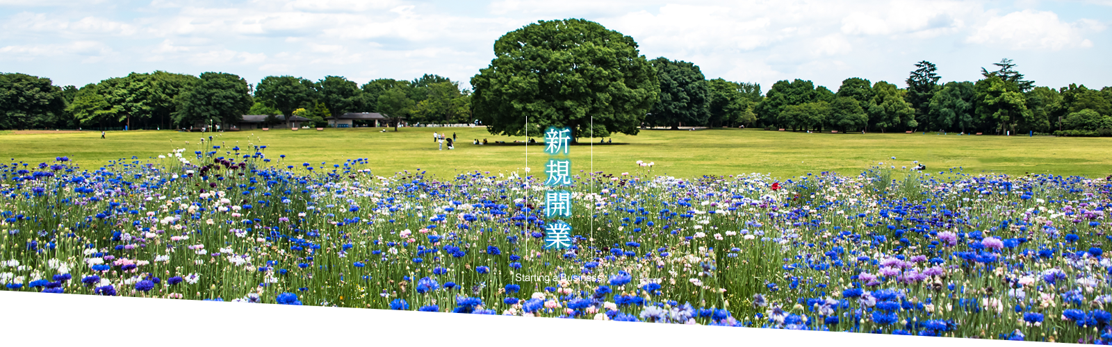 新規開業